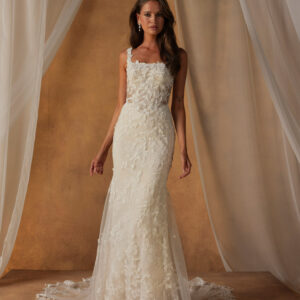 Noha (Ava. until Jan 14th)